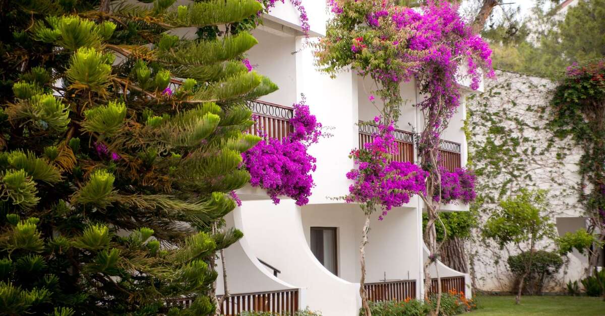 Een foto van Club Boran Mare Beach