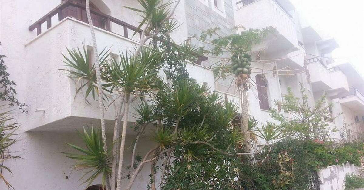 Een foto van Irene Appartementen Malia