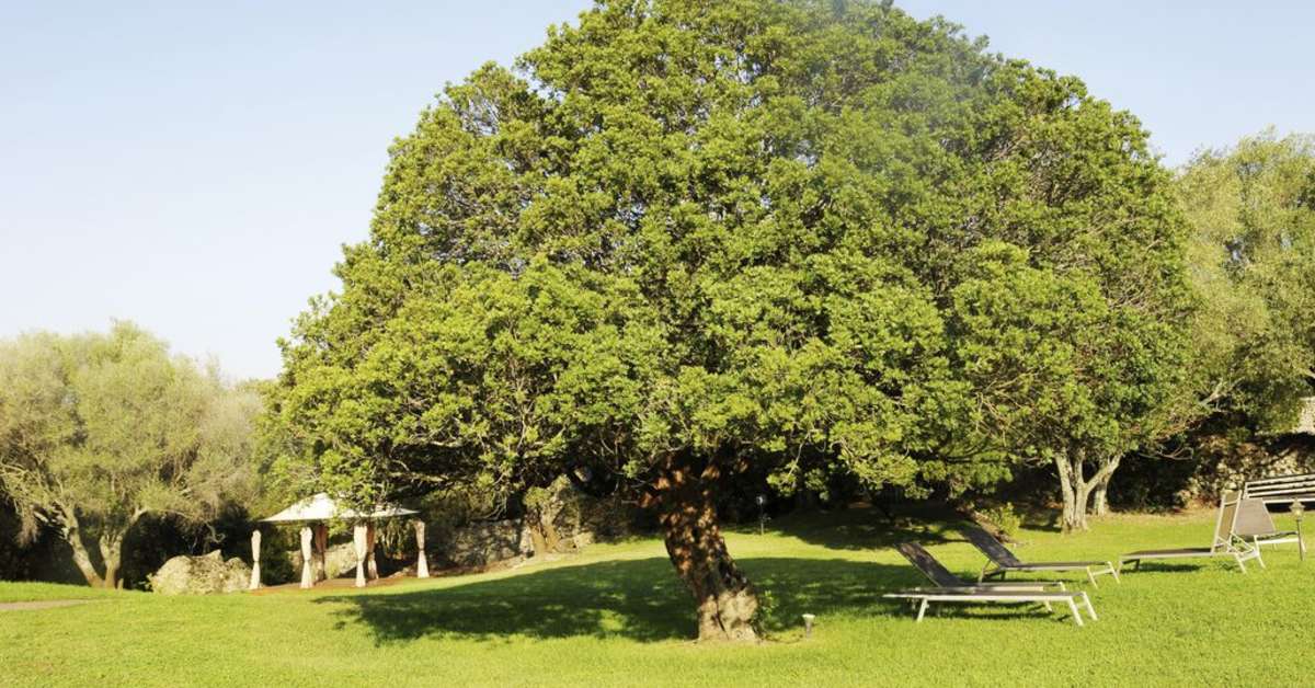 Een foto van het terras bij Tenuta Pilastru Resort