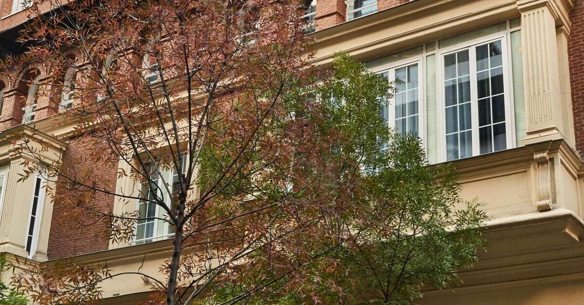 Een foto van Suites Barrio de Salamanca Hotel