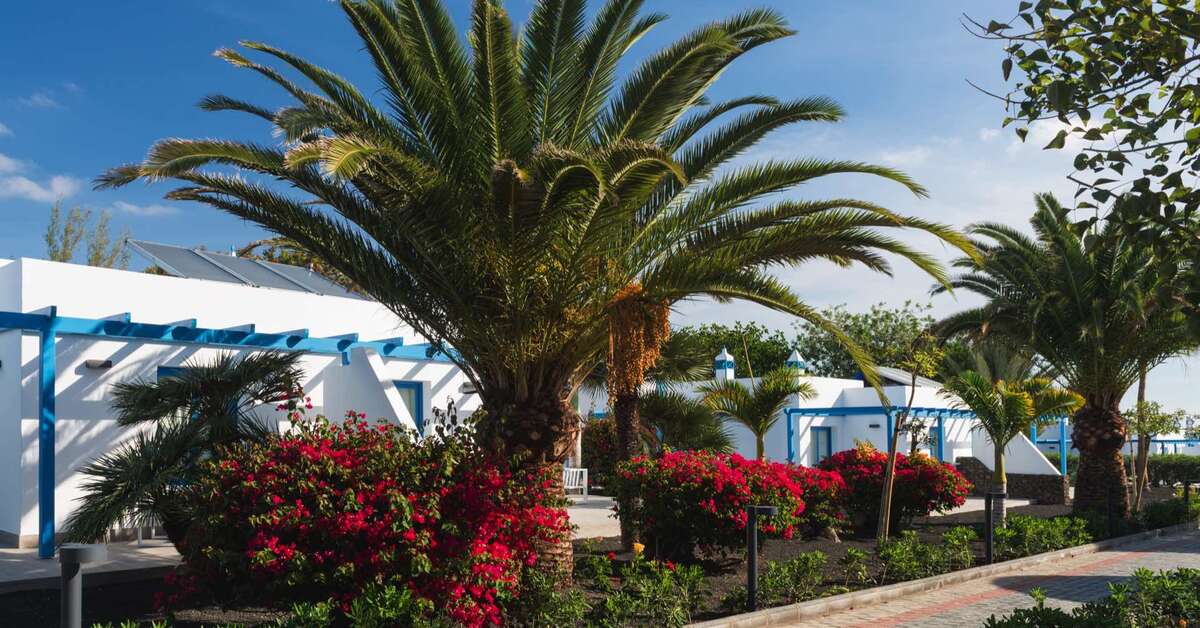 Een foto van het terras bij Elba Lanzarote Premium Suites