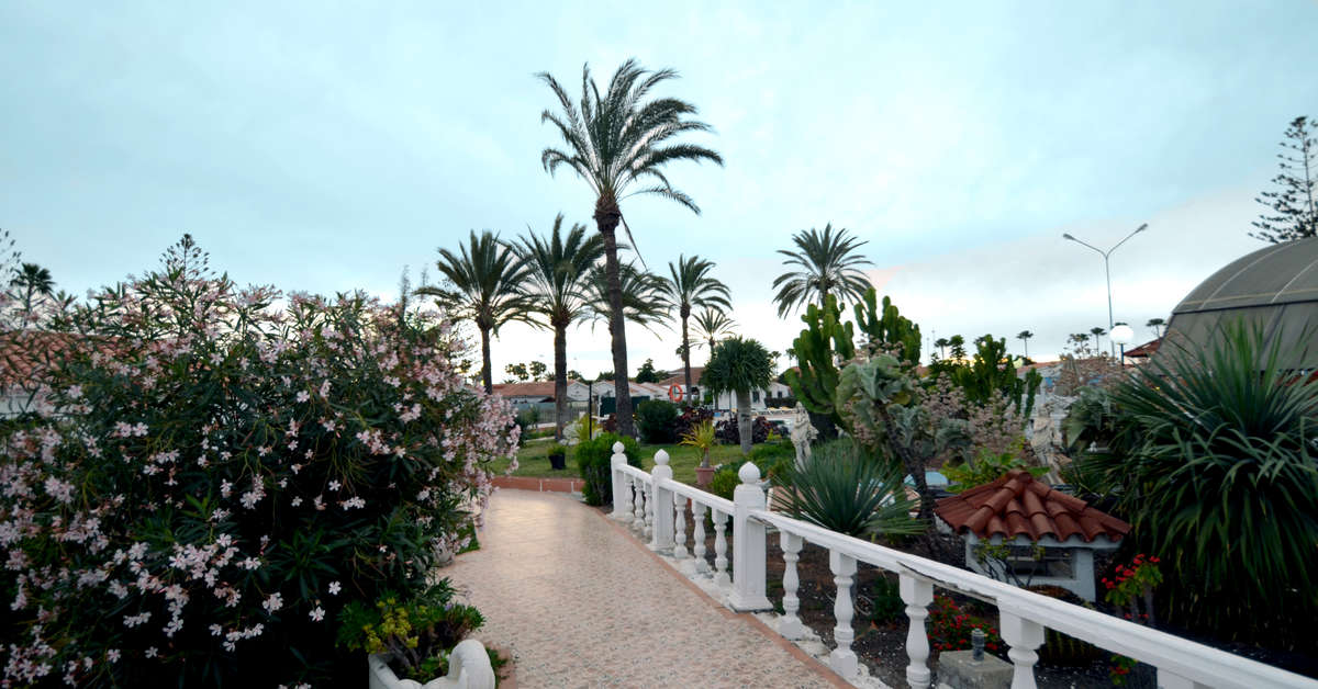 Een foto van het terras bij Bungalows Los Arcos