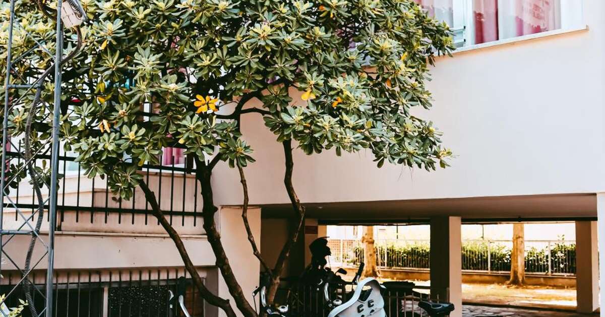 Een foto van Hotel Paglierani