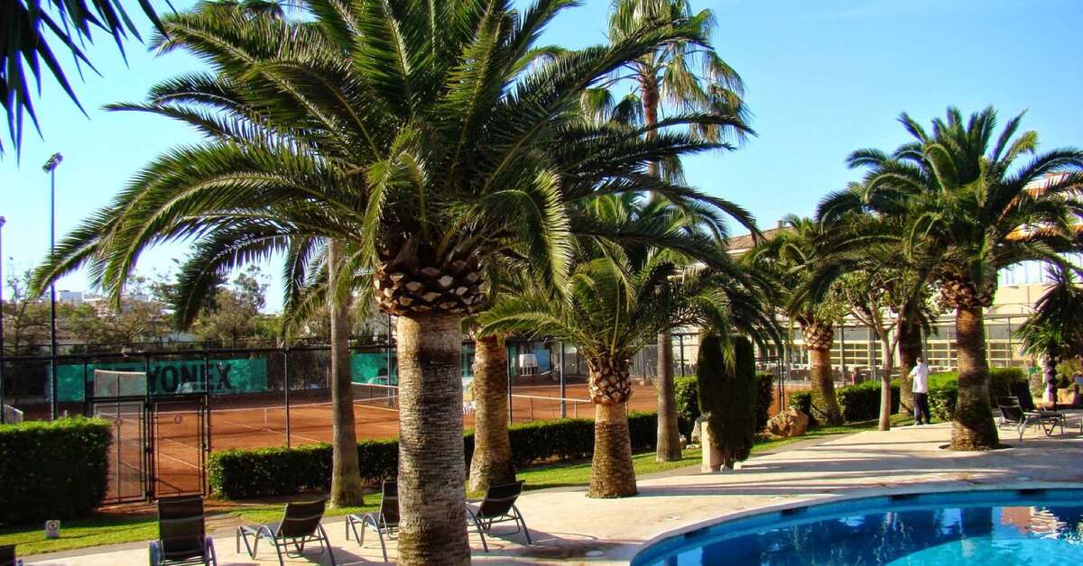Ein Foto vom Pool im Aparthotel Club Simo