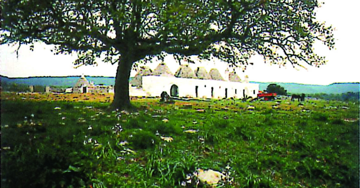 Een foto van Masseria Parco delle Querce