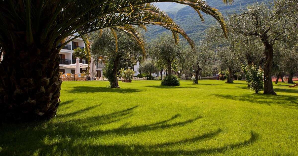 Een foto van Club Hotel Olivi
