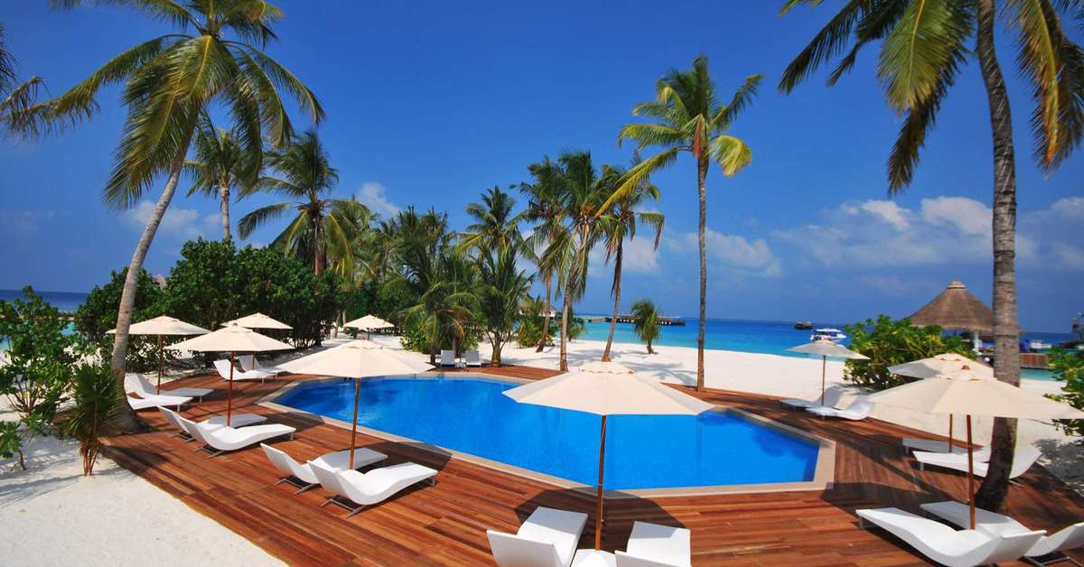 Een foto van Safari Island