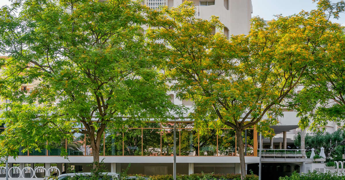 Ein Foto Los Robles