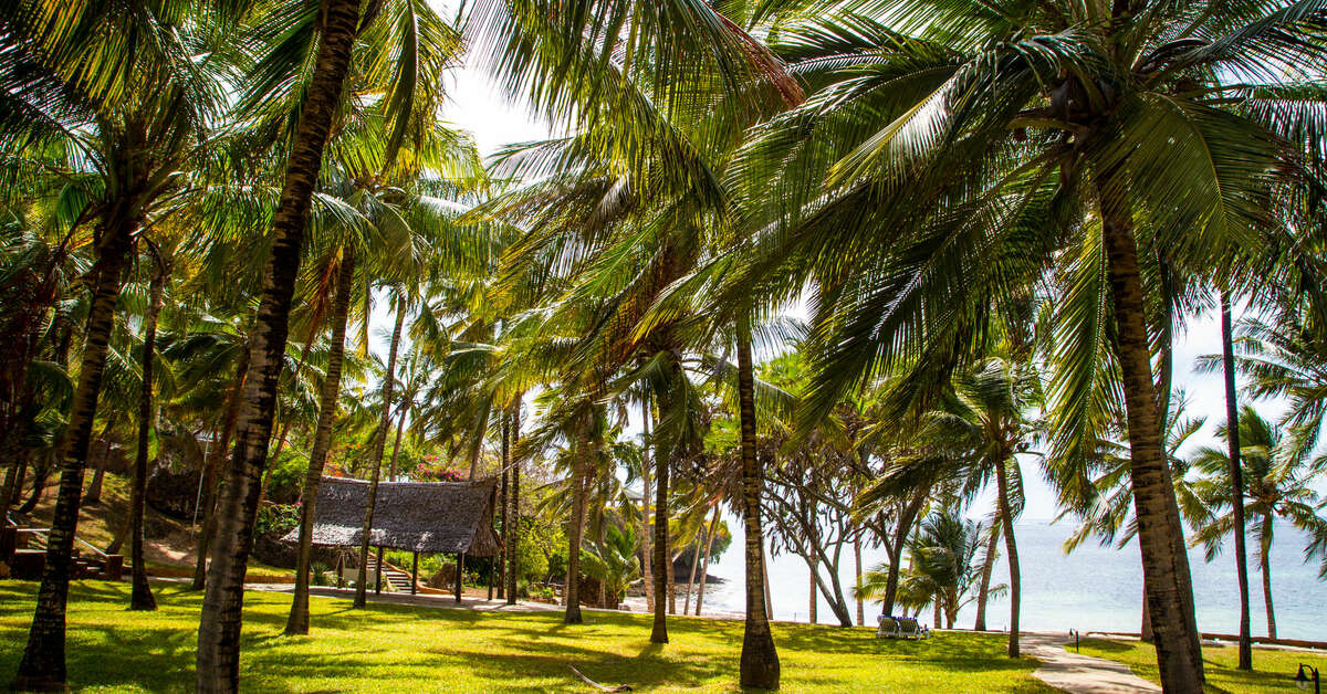 Een foto van PrideInn Flamingo Beach Resort & Spa
