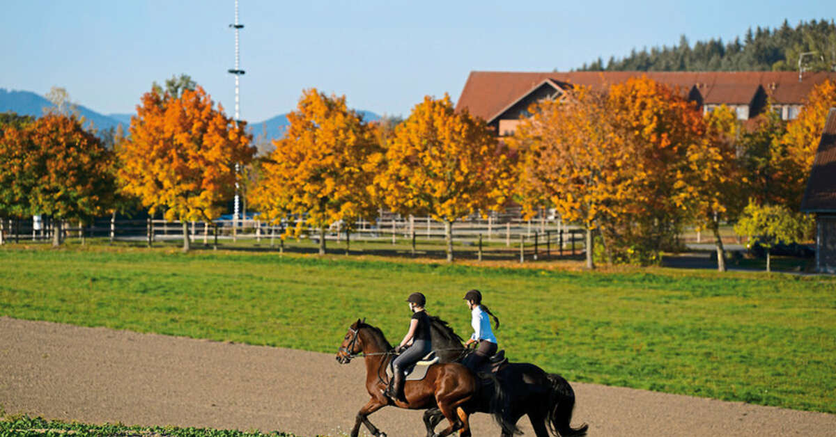 Ein Foto Ulrichshof Nature - Family - Design