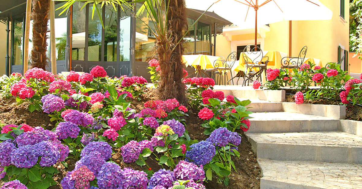 Een foto van Hotel Villa Sofia