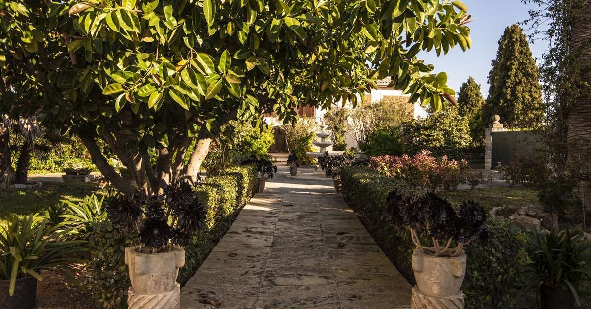 Een foto van het terras bij Aumallia Hotel & Spa