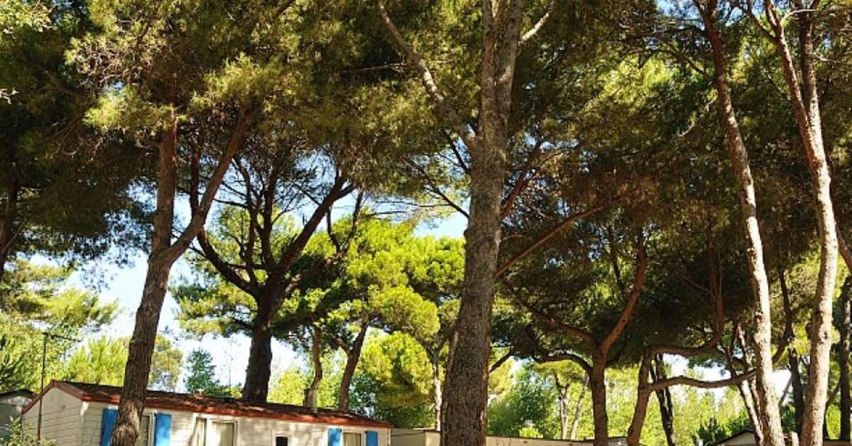 Een foto van de buitenkant van Camping Le Domaine De La Yole