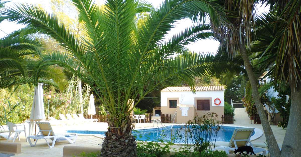Een foto van het zwembad bij Allida Formentera
