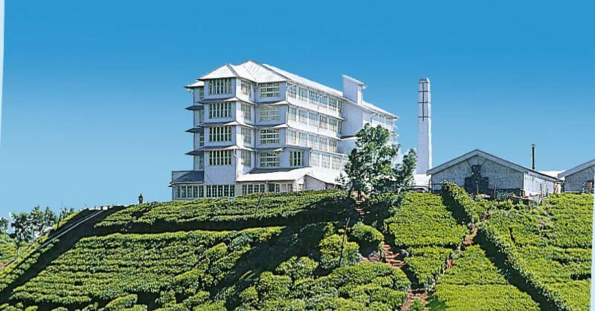 Een foto van Heritance Tea Factory