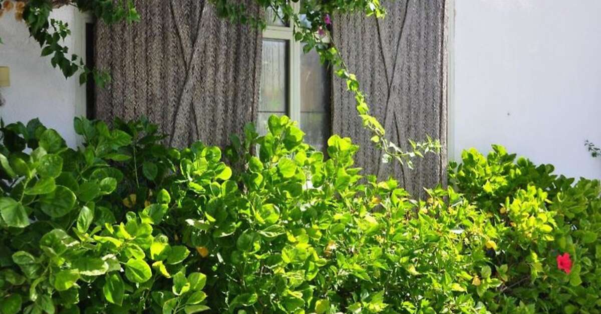 Een foto van Oasis Cordoba