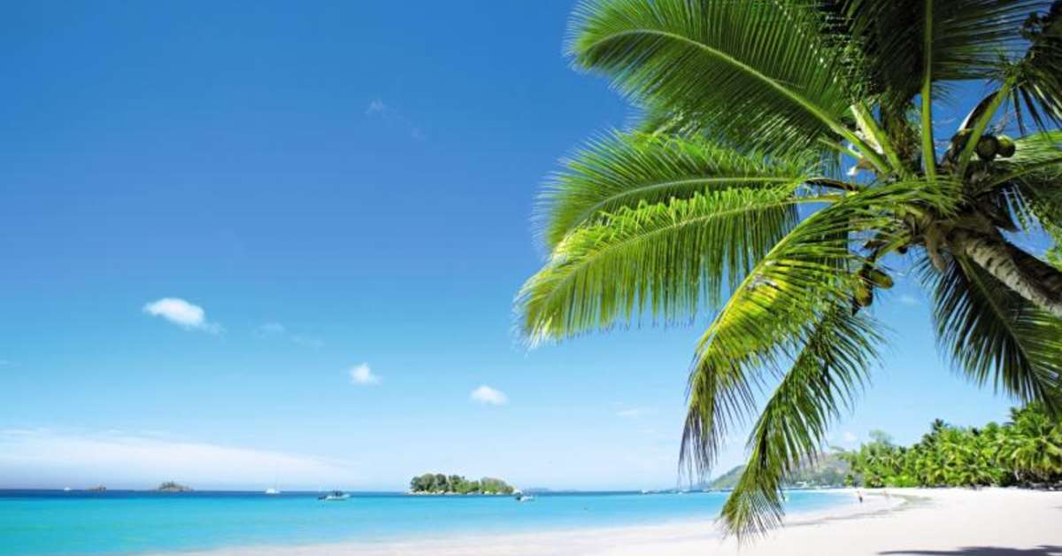 Ein Foto Paradise Sun Hotel
