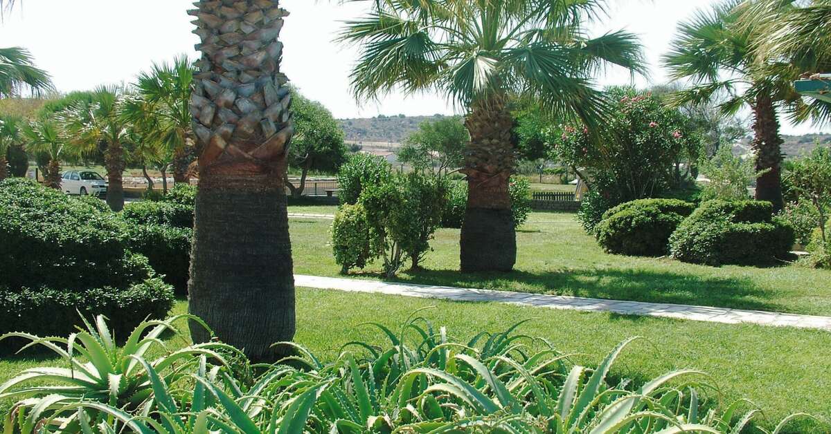 Een foto van Hotel Babaylon