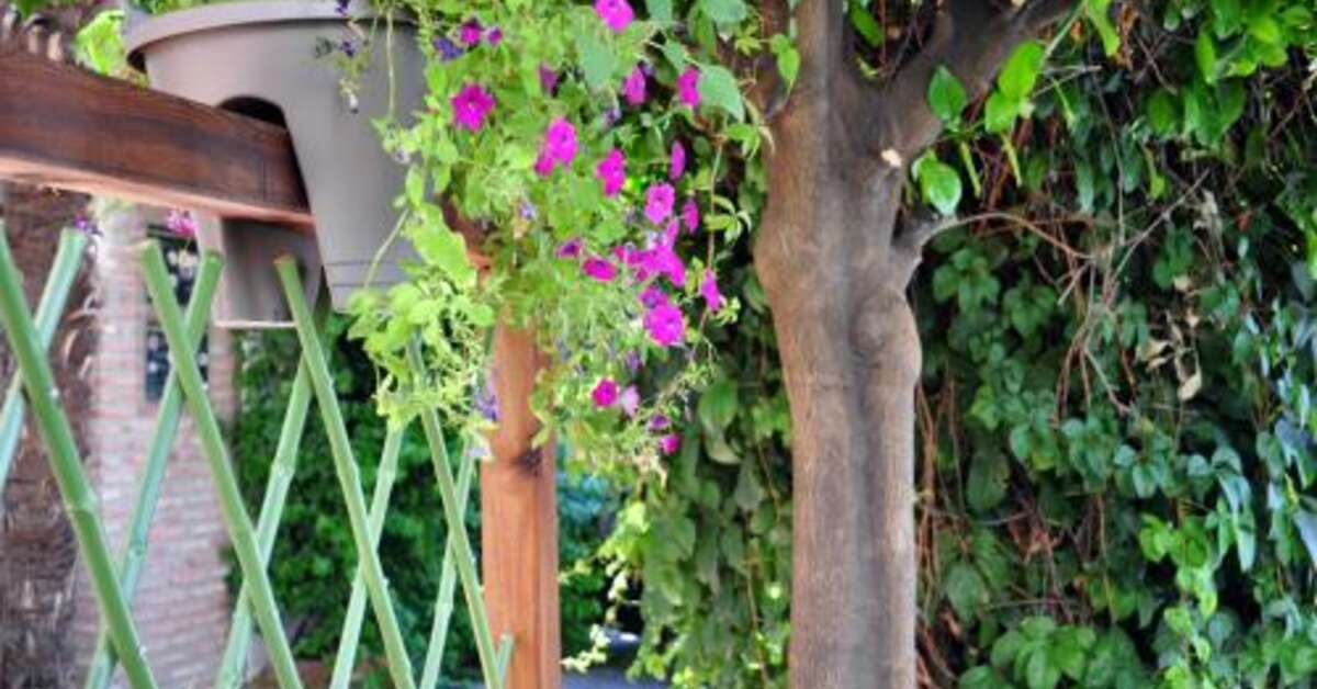 Een foto van Oasis Cordoba
