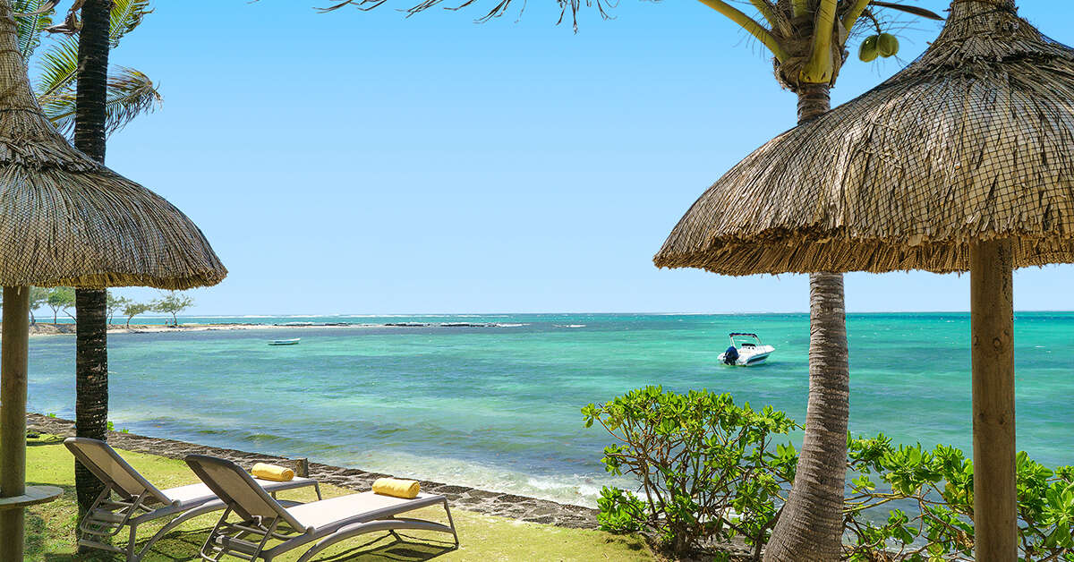 Een foto van Tropical Attitude
