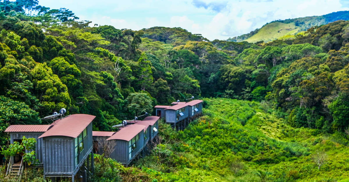 Een foto van Rainforest Eco Lodge