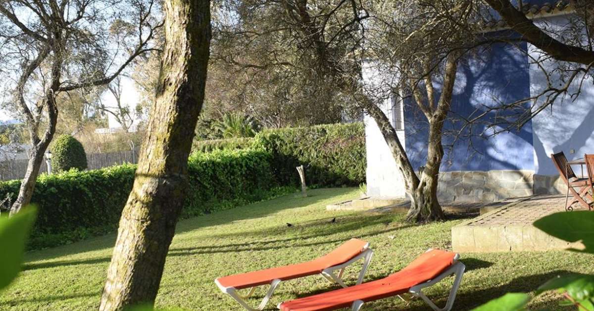 Een foto van het terras bij Cortijo Fontanilla