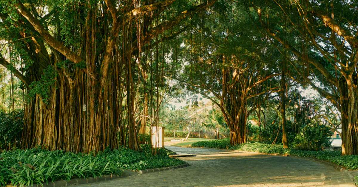 Een foto van Ayana Bali - Resort