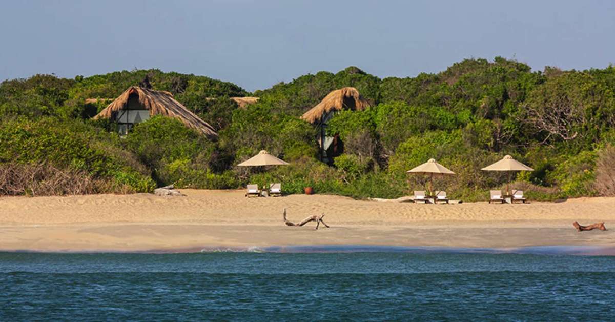Een foto van Jungle Beach Resort