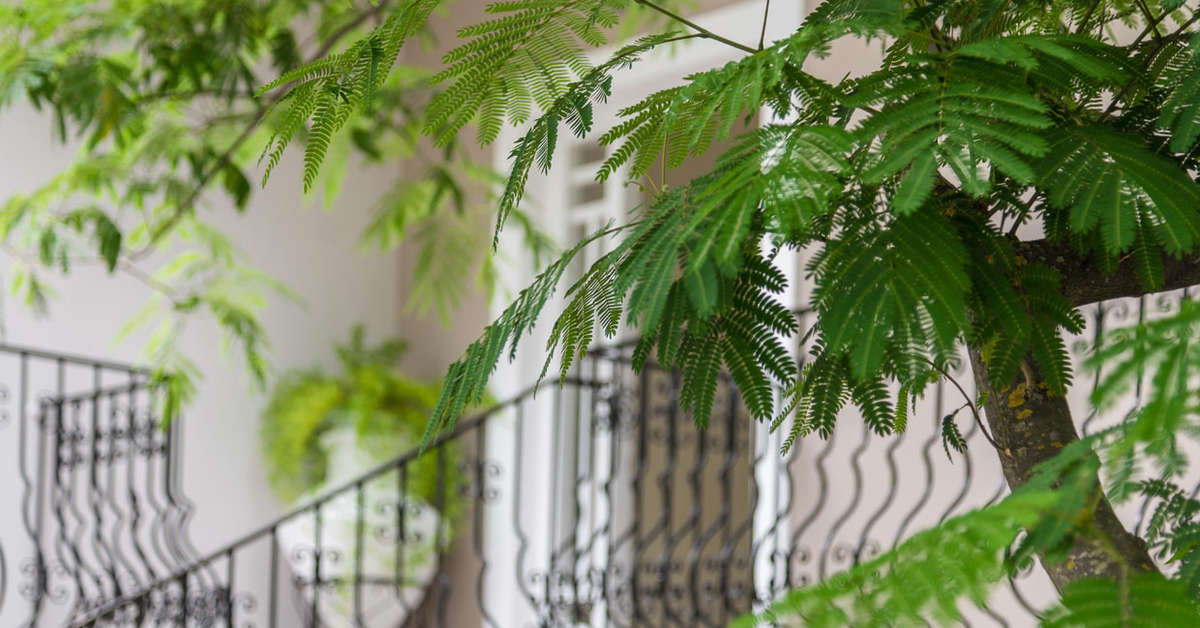 Een foto van Villa Albanis