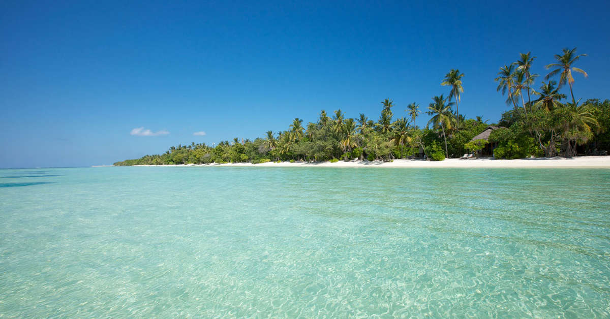 Een foto van LUX South Ari Atoll