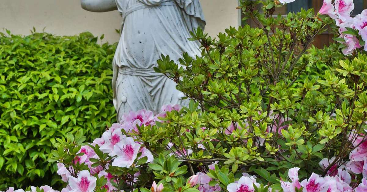 Een foto van Villa Neroli