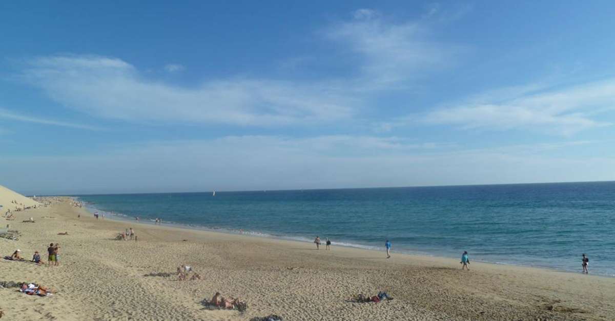 Een foto van het strand bij Hotel Riu Palace Calypso