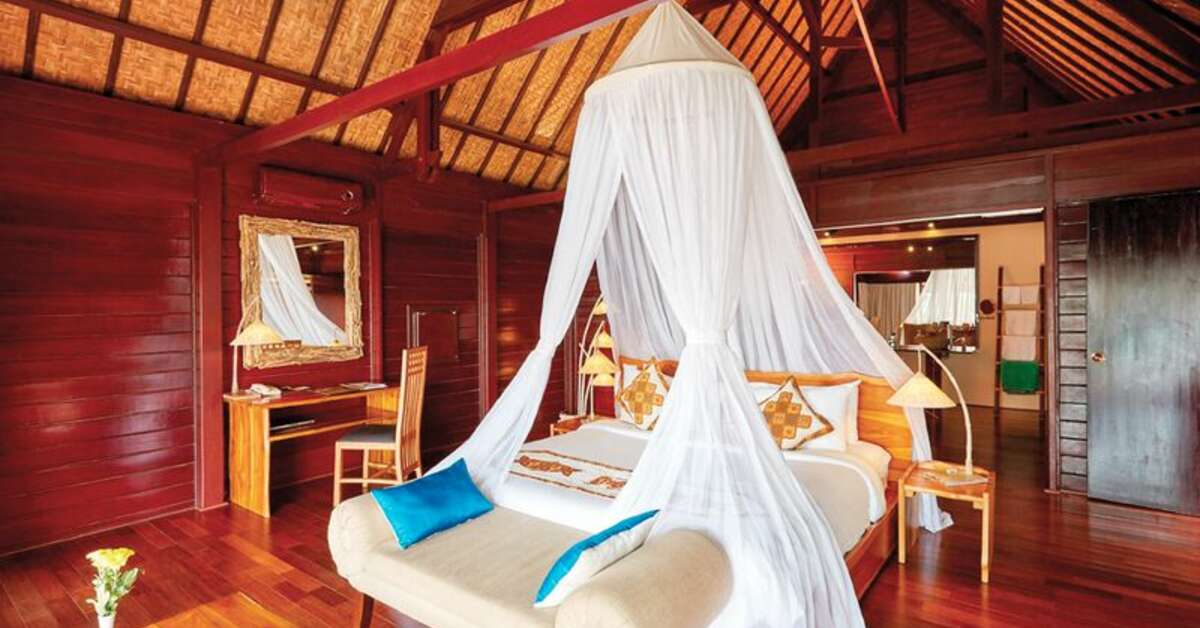 Ein Foto Kupu Kupu Phangan