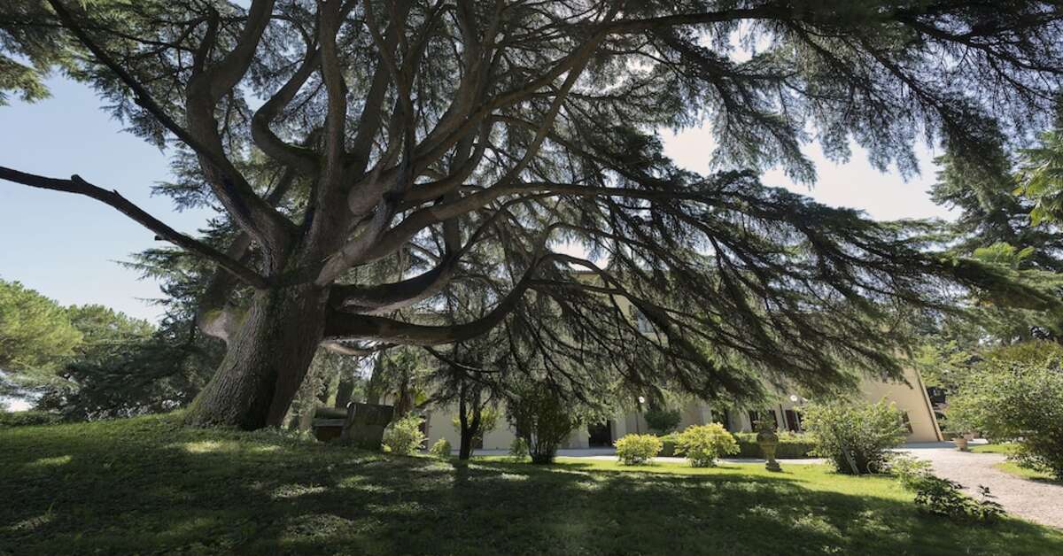Een foto van Posta Donini