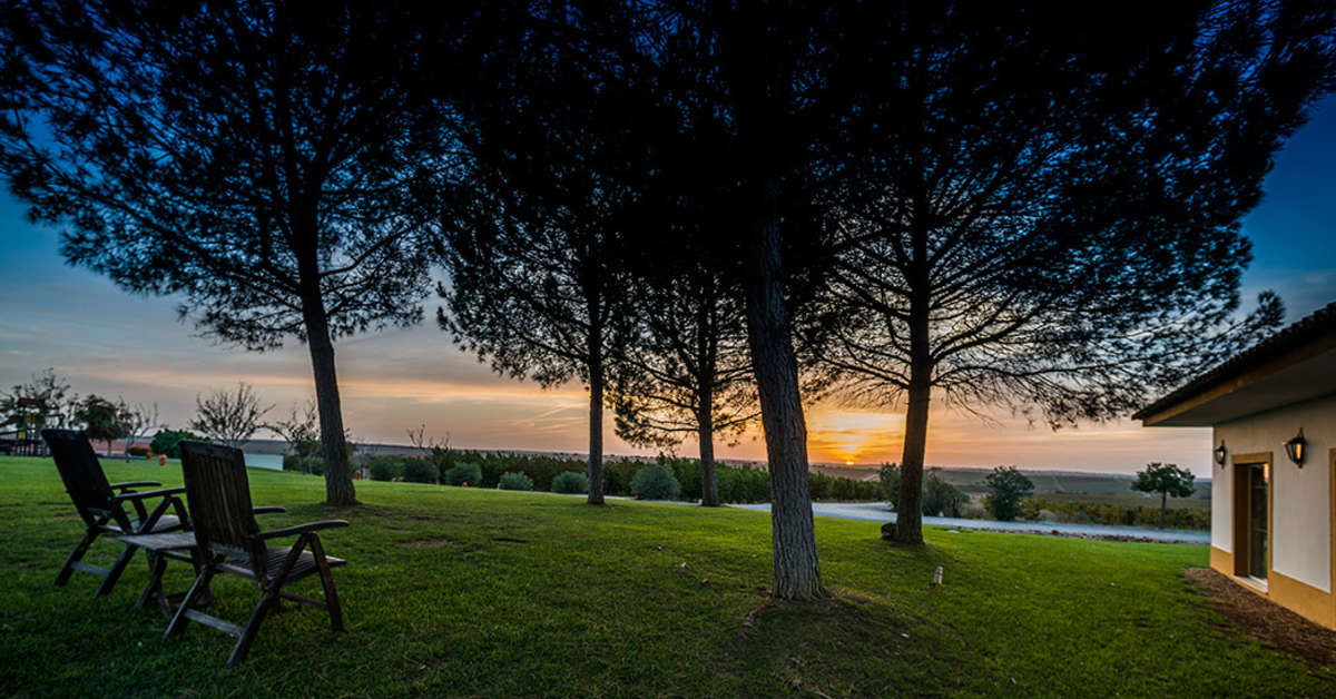 Een foto van het terras bij Vila Gale Alentejo Vineyards