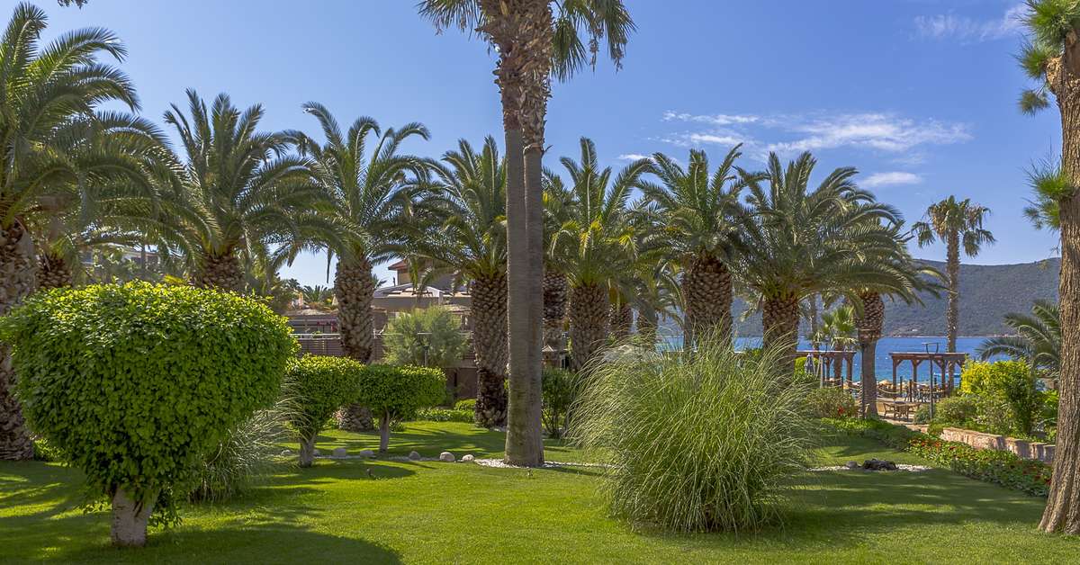 Een foto van het terras bij Magic Life Bodrum