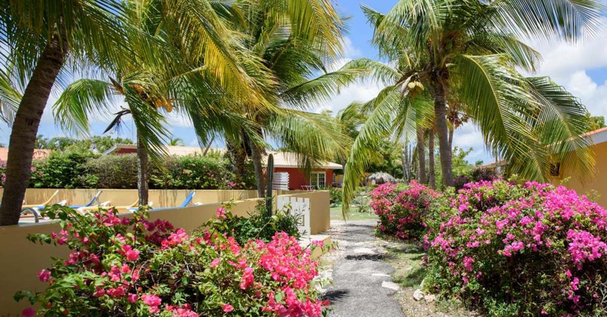 Een foto van The Pearl of the Caribbean
