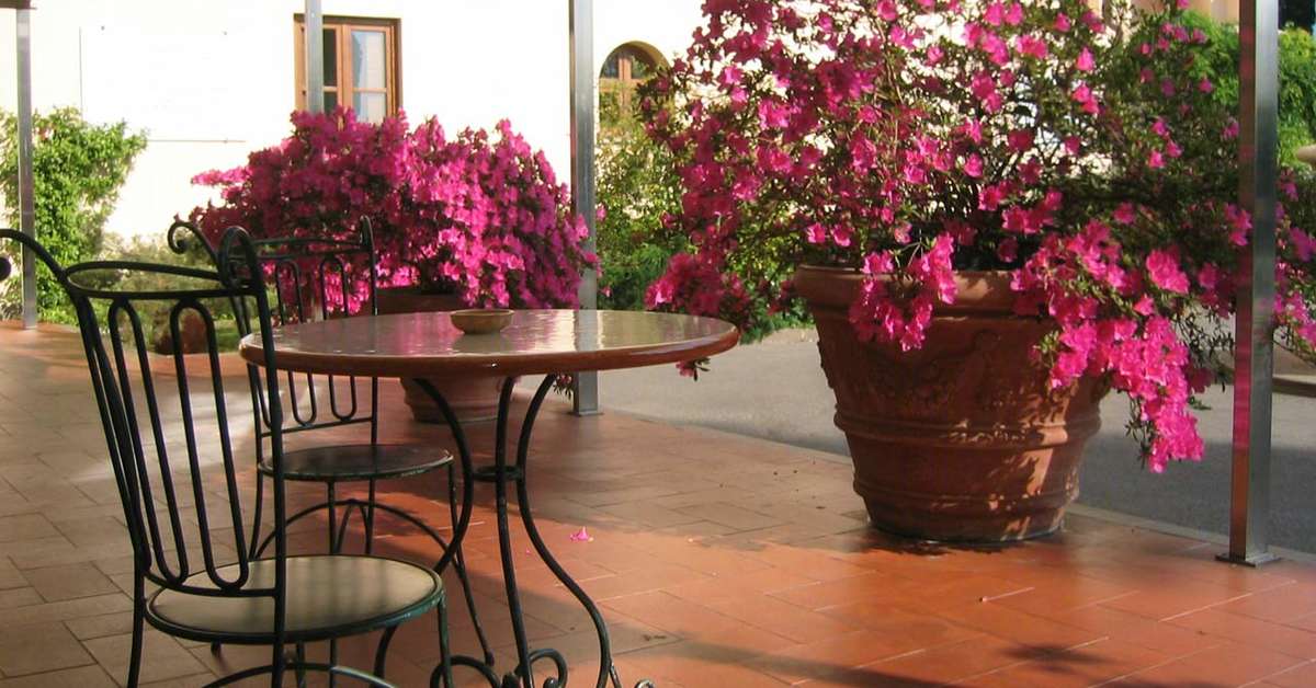 Een foto van Villa Neroli