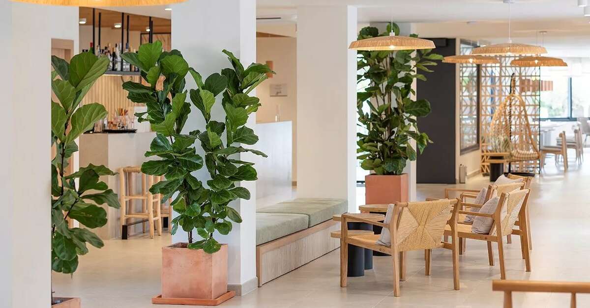 Een foto van Copaiba by Honne Hotels