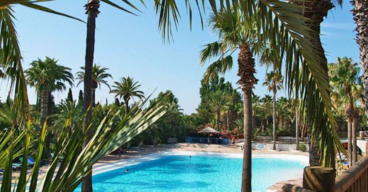 Een foto van het zwembad bij Camping La Baume - La Palmeraie