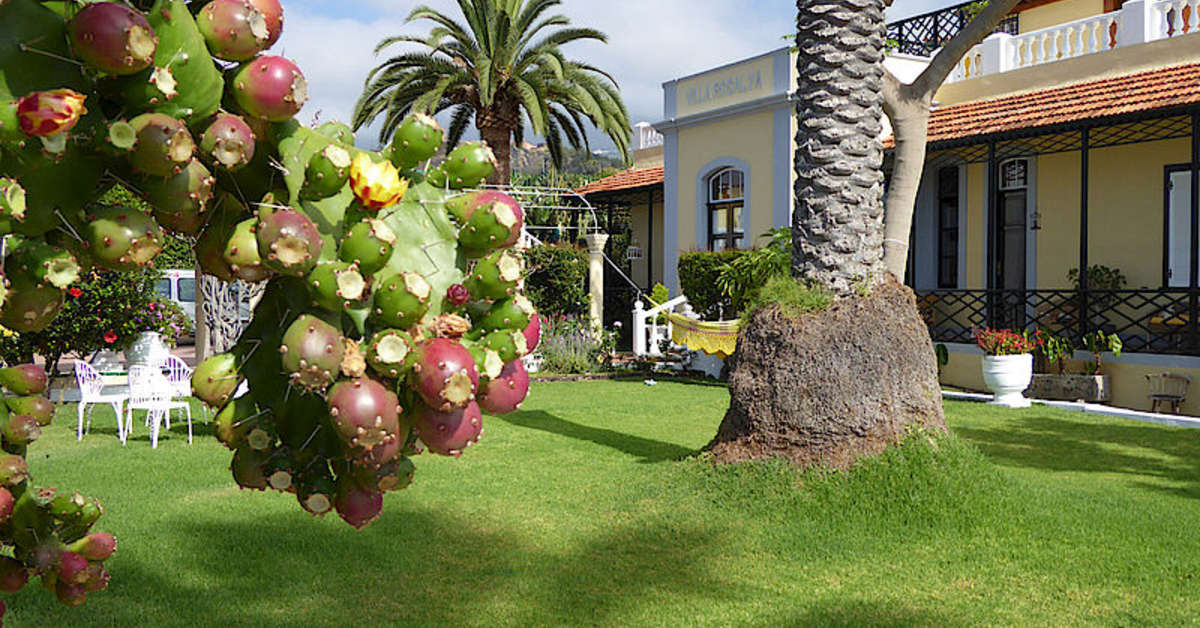 Ein Foto von der Terrasse im Villa Rosalva