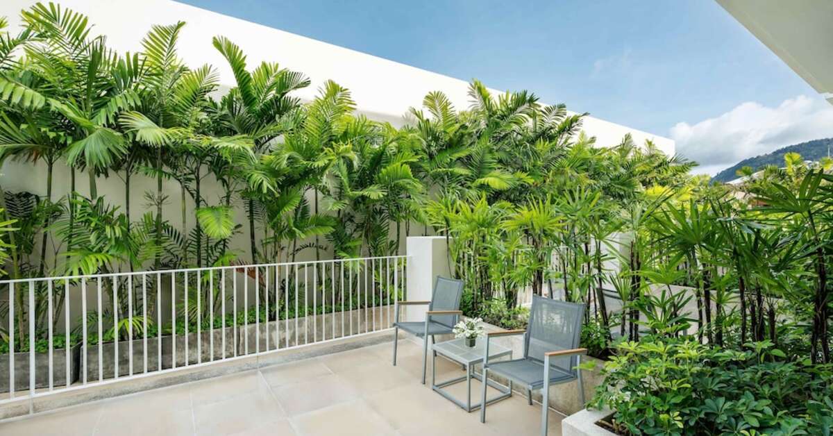 Een foto van M Social Phuket