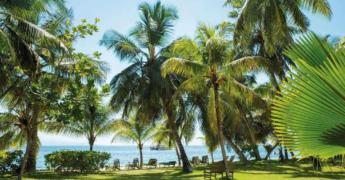 Een foto van het strand bij Indian Ocean Lodge