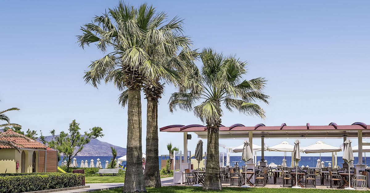 Een foto van de faciliteiten bij Vantaris Luxury Beach Resort