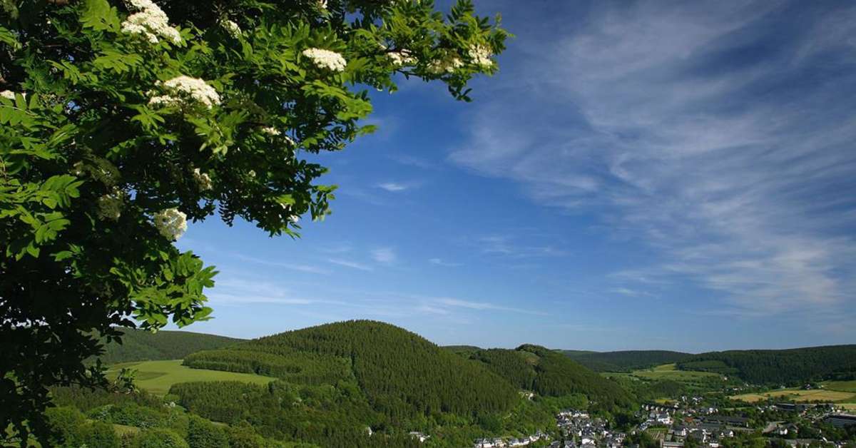 Een foto van Wald Hotel Willingen
