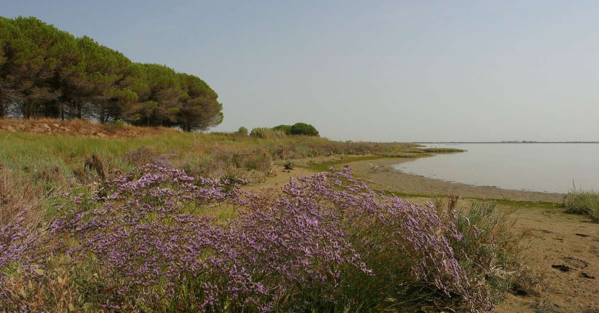 Een foto van Marina Azzurra Resort