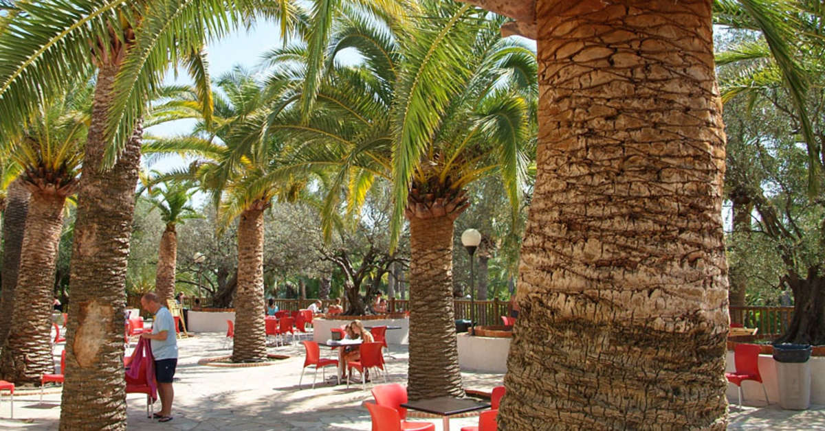 Een foto van de faciliteiten bij Camping La Baume - La Palmeraie