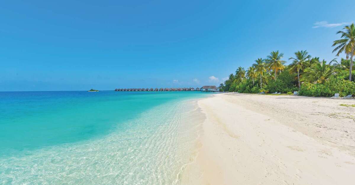 Een foto van Safari Island
