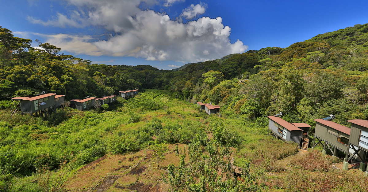 Een foto van Rainforest Eco Lodge