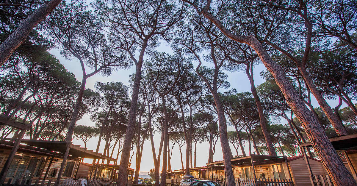 Een foto van de buitenkant van Camping Village Fabulous
